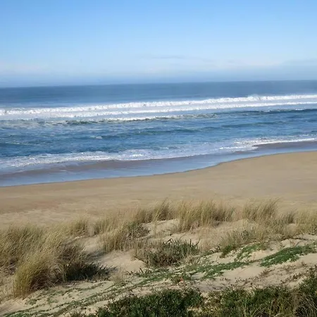 O 3 Cedres 마제스크